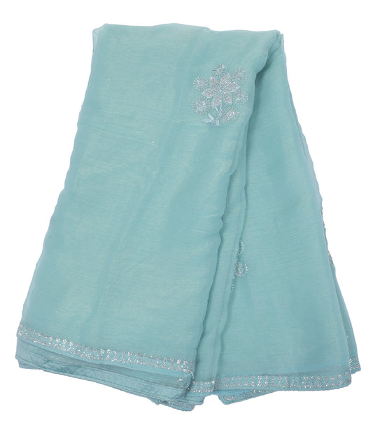 Pastel Blue Organza Saree with Intricate Silver Embroidery